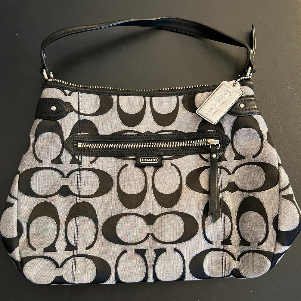 Authentic - Coach - Daisy Outline Signature Metallic Hobo Bag - Moonlight